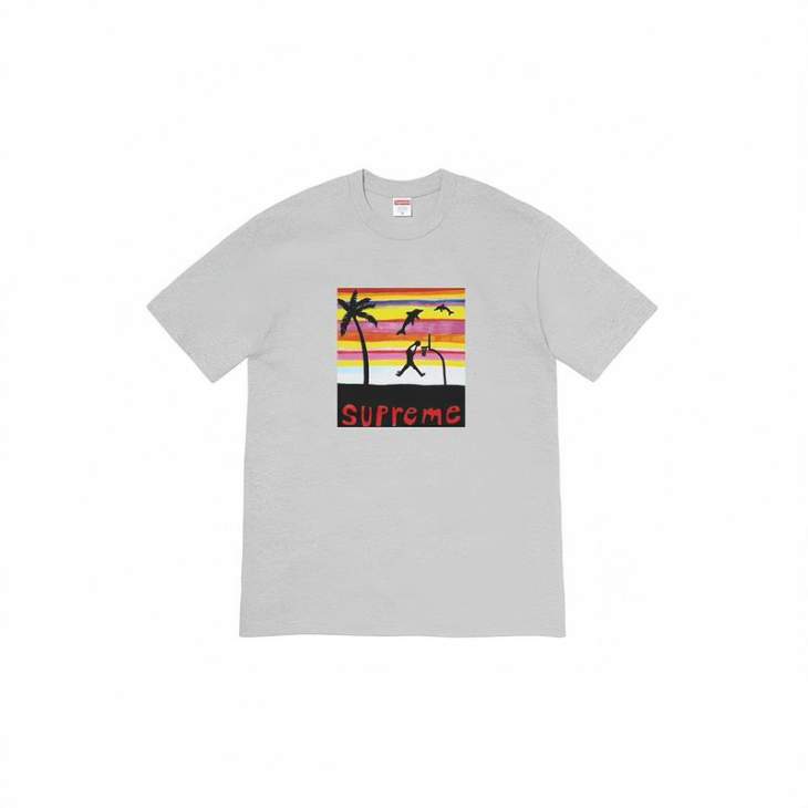 Picture of Supreme T Shirts Short _SKUSupremeS-2XLthtxS581256